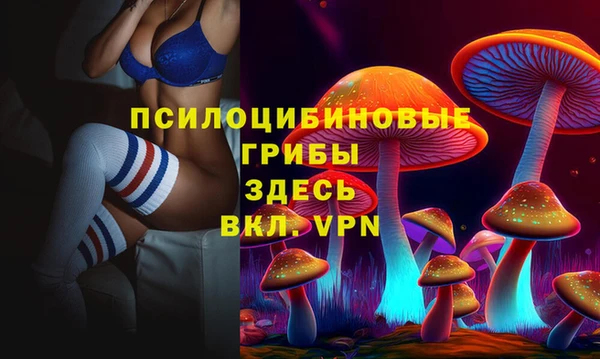 MESCALINE Гусь-Хрустальный